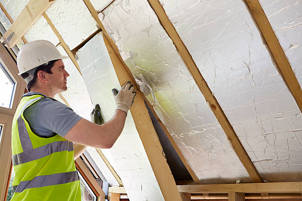 Best Insulation Maintenance and Repair in Steelville, MO